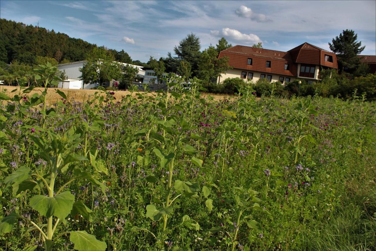 Landhotel Am Rothenberg Uslar Exteriör bild
