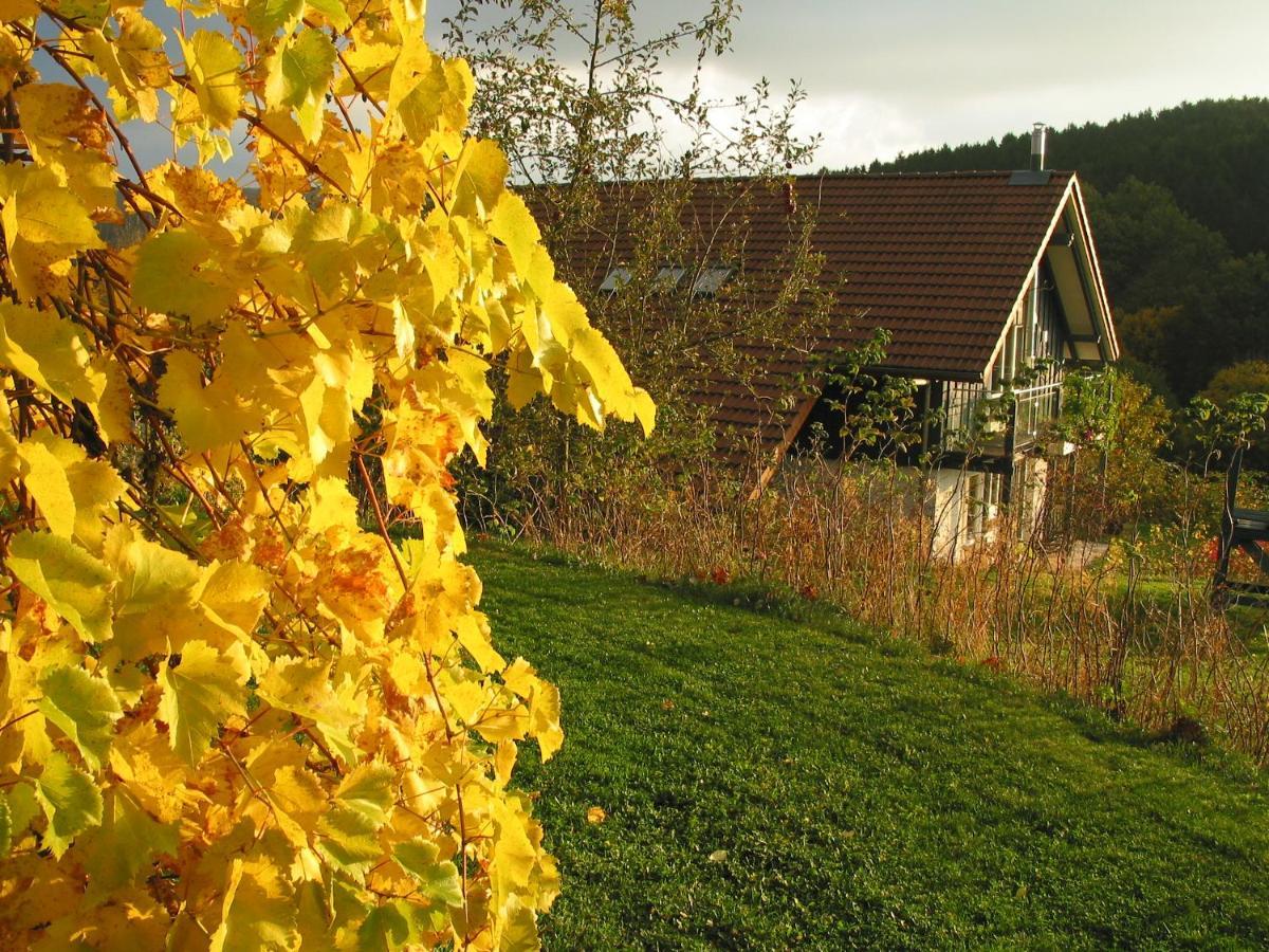Landhotel Am Rothenberg Uslar Exteriör bild