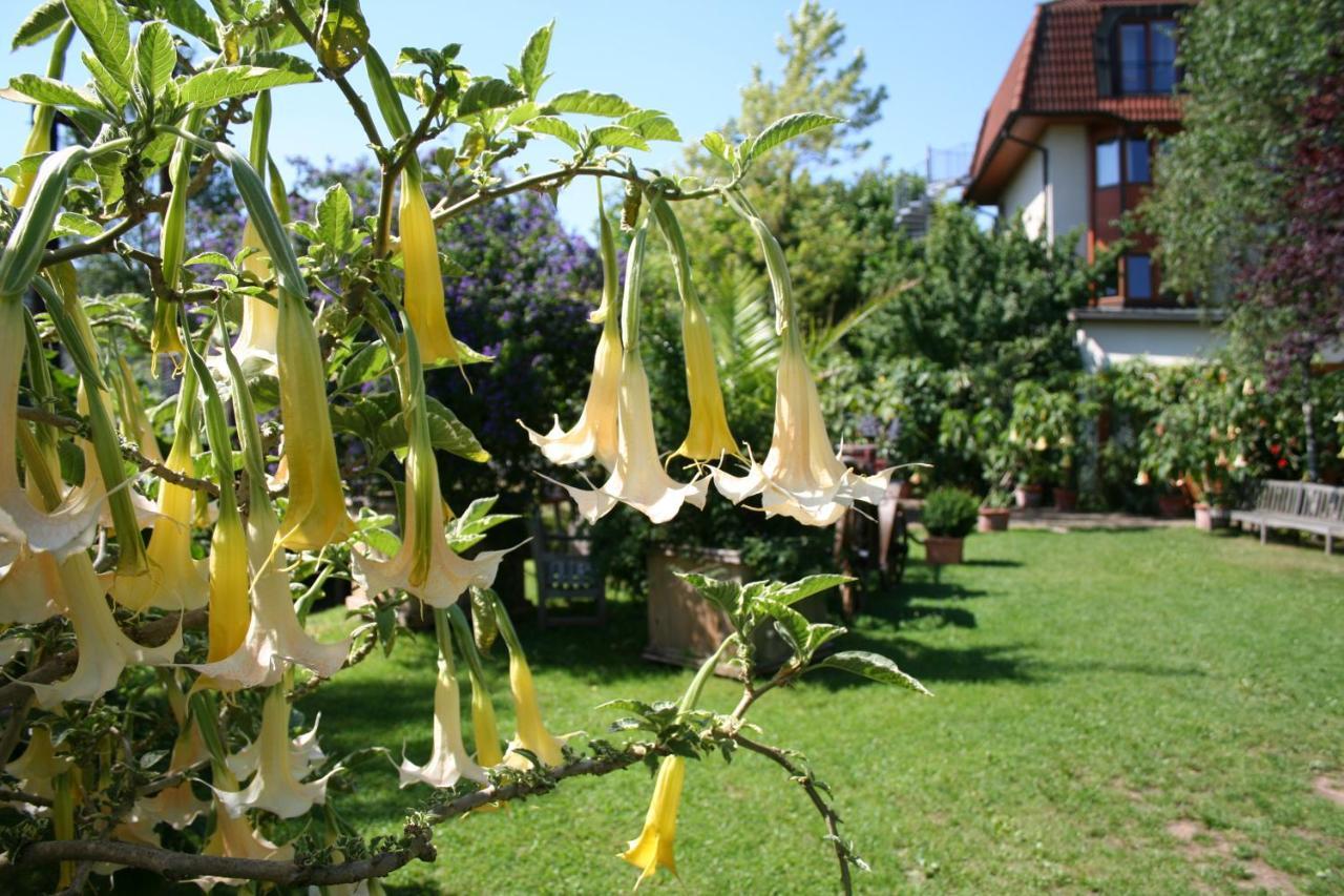 Landhotel Am Rothenberg Uslar Exteriör bild